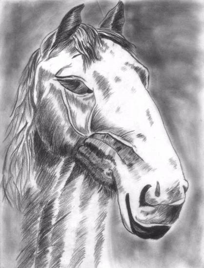 Painting  by Kalash Durgesh Desai - Horse