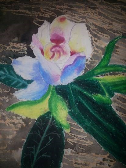 Flower, painting by Mariya Kapadia