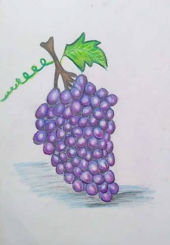 Painting  by Toshani Mehra - Bunch of grapes