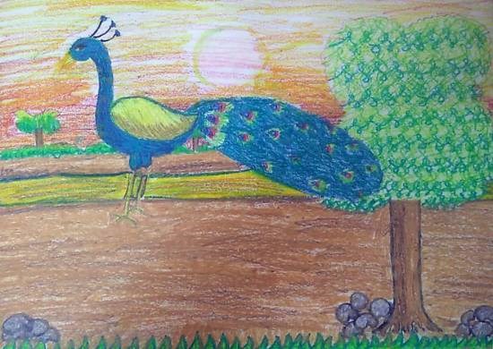 Peacock, painting by Toshani Mehra