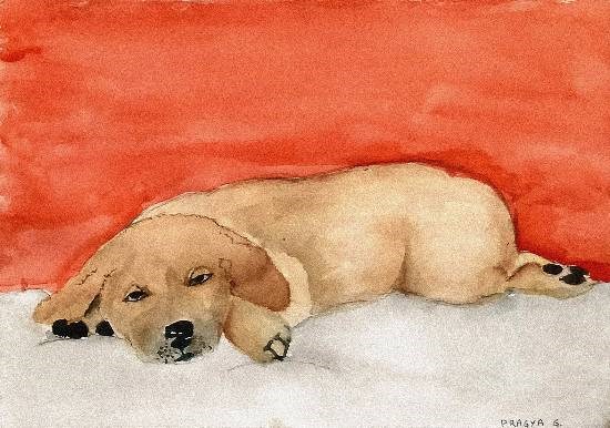 Dog, painting by Pragya Amber Gupta
