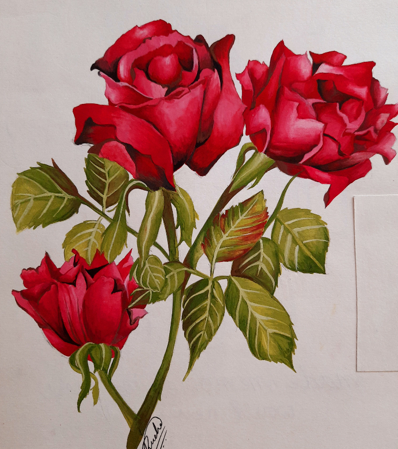 rose pink絵画3点 Pink Roses Painting by Rucha Vishwesh Damle