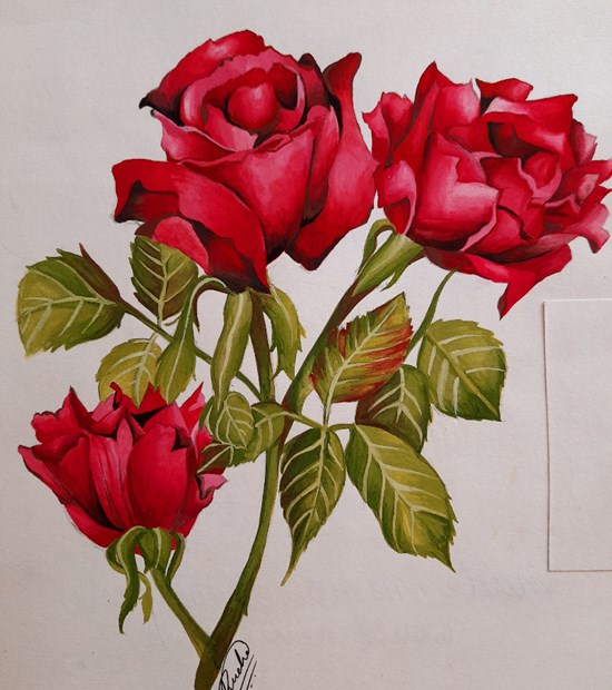 Pink Roses, painting by Rucha Vishwesh Damle