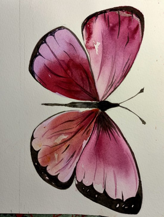 Butterfly, painting by Ratnamala Indulkar