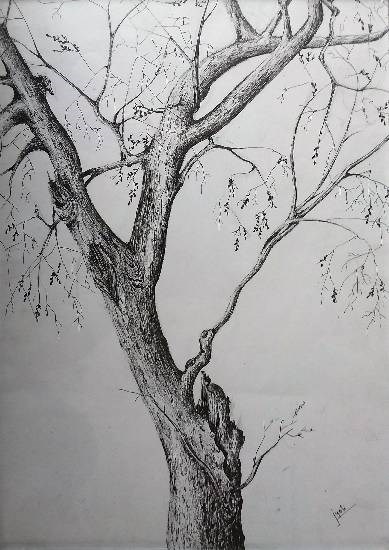 Tree branch, painting by Jyoti Sharma