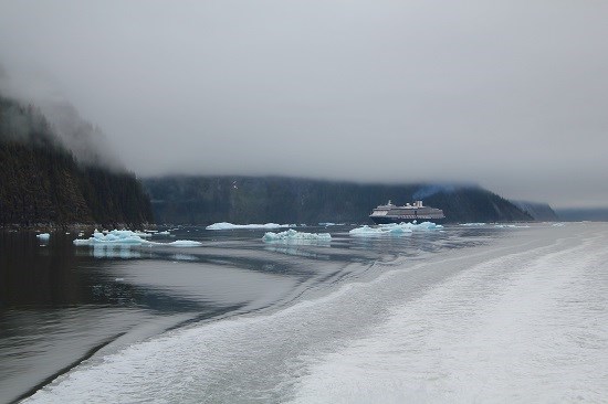 Our Catamaran making patterns in the Alaskan waters, photograph by Anupama Tiku Dhar