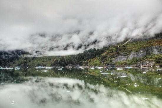 Emerald Forest Reflected in the Alaskan waters, photograph by Anupama Tiku Dhar