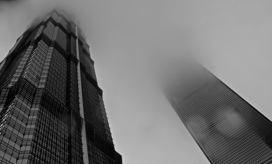 Mistified, photograph by Anupama Tiku Dhar