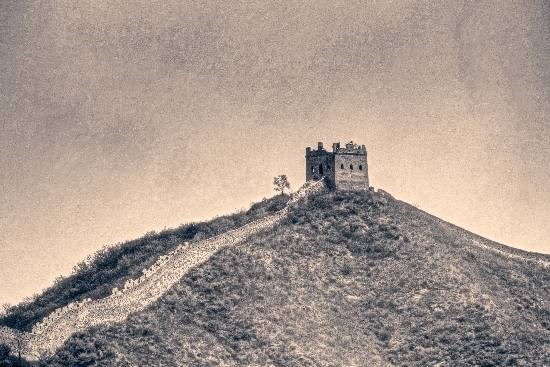 The Sentinel, photograph by Anupama Tiku Dhar