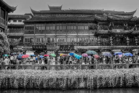 Rained Out, photograph by Anupama Tiku Dhar