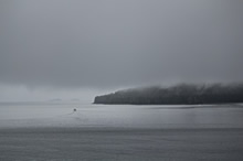 Misty morning as our Cruise Ship approached Juneau Alaska, Photo by Anupama Tiku Dhar