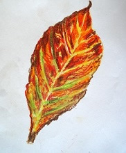Painting of leaf in oil pastels by Chitra Vaidya