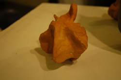 Ceramic works made during the camp by Sculptors