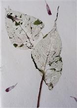Handmade Greeting Cards using flowers and leaves by Gauri Ketkar - 21