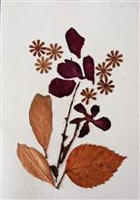 Handmade Greeting Cards using flowers and leaves by Gauri Ketkar - 1