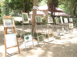 Exhibition at Empress garden