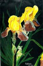 Blooming Cana, Painting by Capt. Subhash Bhate