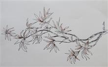 Plant Study, Sketch by Chitra Vaidya, Ink and Watercolour on Paper, 10  X  6.5   inches