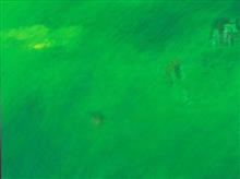 Abstraction-1, painting by  Prakash Bal Joshi, Oil on Canvas, 48  x 36 inches 