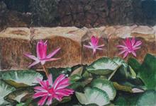 Water Lily, Painting by Mrudula Bapat, Watercolor on paper, 12 x 16  inches