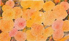 Marigold - 3, Painting by Manju Srivatsa, Watercolour on Paper, 17 x 28   inches