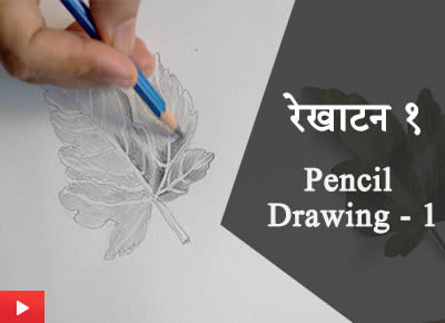 रेखाटन १ | Pencil Drawing - 1 |Learn how to draw Hibiscus leaf with pencil