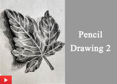  Pencil Drawing - 2 