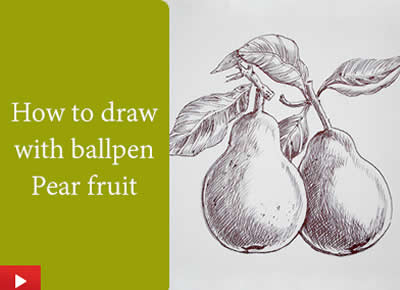 How to do ballpoint pen drawing of pear fruit