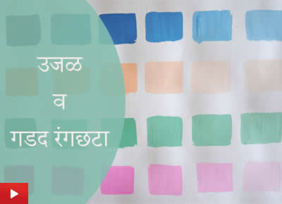 Tints and Shades of Colours