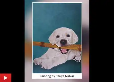 Bingo, the Labrador - digital painting by Shriya Nulkar