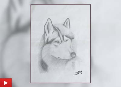 Siberian Husky, painting by Sarayu Vollala (11 years)