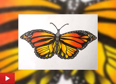 Monarch butterfly, painting by Shambhavi Singh (17 years)