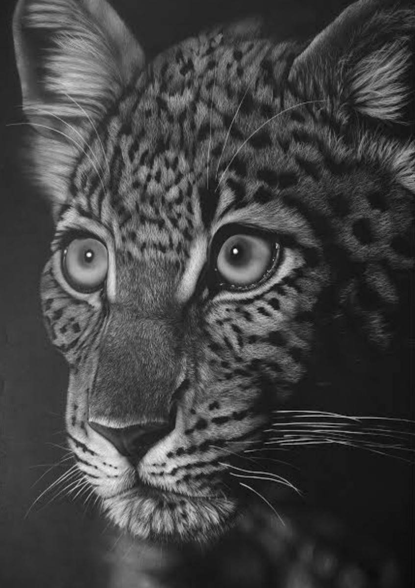 Result for art competition October to December 2025