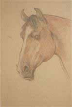 Horse Head, Painting by J D Gondhalekar