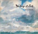 Wanderings of a Brush