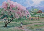 Almond Tree, Kashmir, Kashmir & Himachal, Painting by M. K. Kelkar, Oil on Canvas, 10 X 14