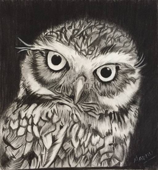 Paintings by Madhu Awasthi - Bright Eyed OWL
