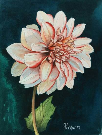 Painting by Pushpa Sharma - Grace of Dahlia
