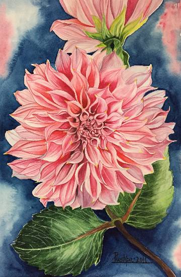 Painting by Pushpa Sharma - Pink Dahlia Flower - 1