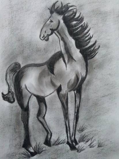 Paintings by Amrita Banerjee - Horse - 1