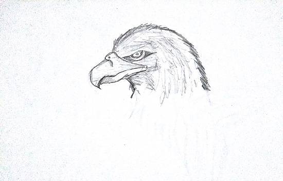 Painting by Nandakishore M O - Hawlk