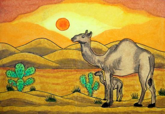 Painting by Aadhya Dwivedi - Baby Camel and Mother