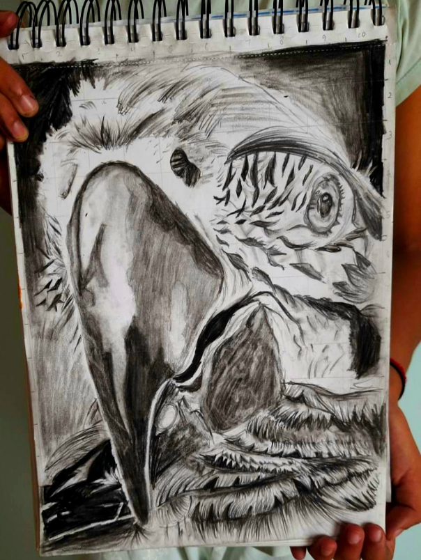 Painting by Shravya Bharath - Macaw