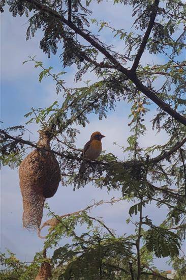 Photograph by Yukta Geete - A Creative work of natural art