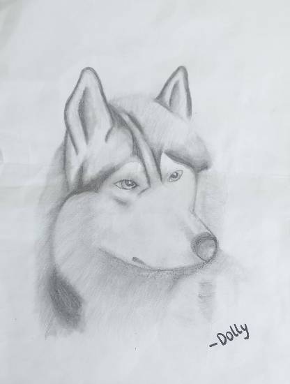 Painting by Sarayu Vollala - Siberian Husky