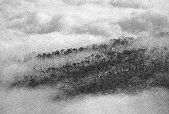 Photograph by Ashok Dilwali - Island in the clouds