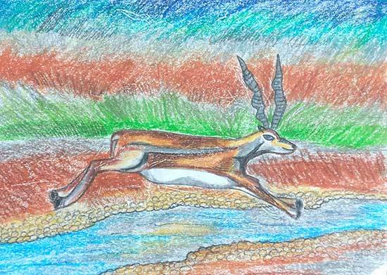 Painting by Shuktika Das - Motion....A Blackbuck