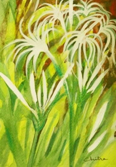 Paintings by Chitra Vaidya - Swamp Lily Flowers