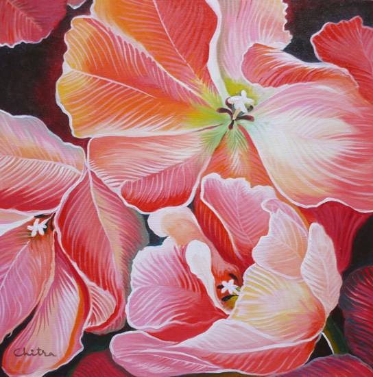 Painting by Chitra Vaidya - Parrot Tulip