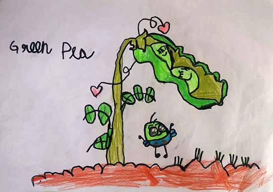 Painting by Nikitha Judith B - Fantasized Green Pea